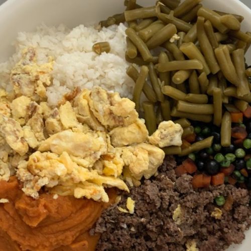 A bowl of freshly made homemade dog food with ground beef, rice, scrambled eggs, peas, carrots, green beans, blueberries, and pumpkin