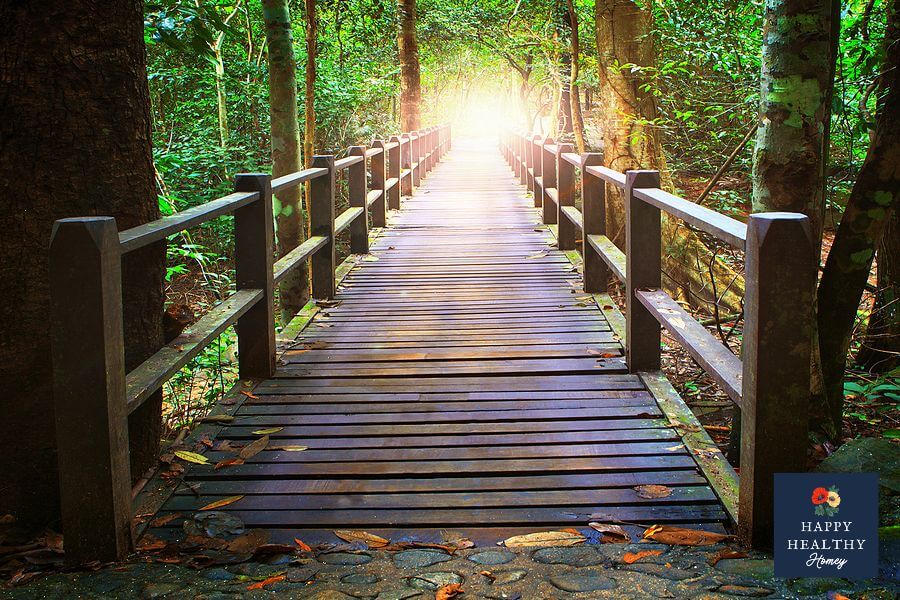 Wood bridge surrounded by trees walking into the sunlight.