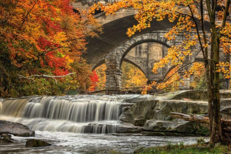 Fall trees surrounding a waterfall.